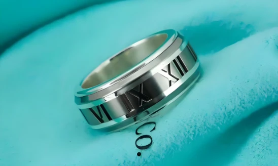 Titanium Ring Titanium Ring